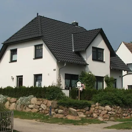 Sebok